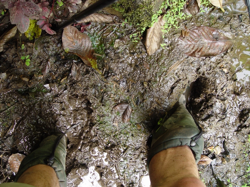 Zav��t okno / Close window