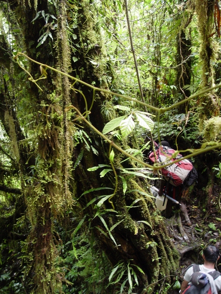 Zav��t okno / Close window