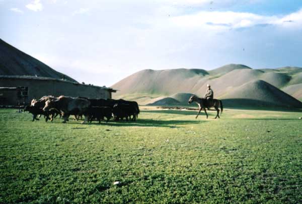 Zav��t okno / Close window