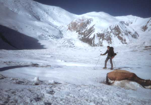 Zav��t okno / Close window