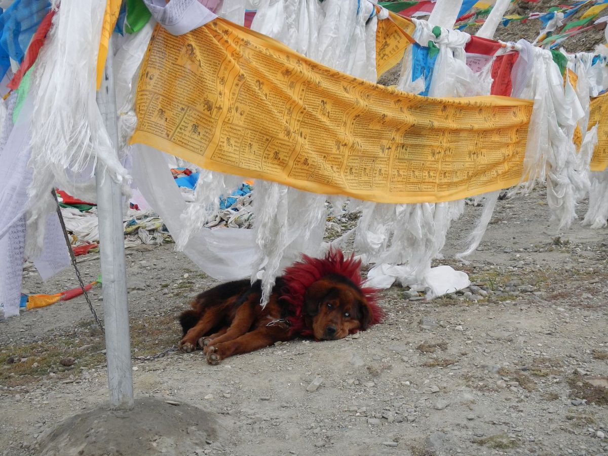 Zav��t okno / Close window